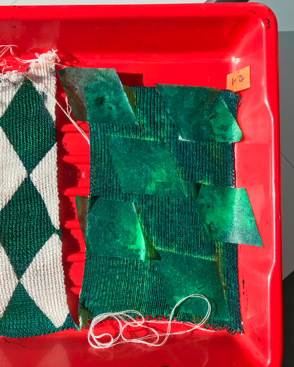 Cyanotypie Verstrickt